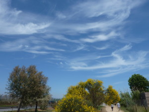 Cirrus