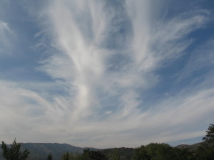 Cirrus fibratus