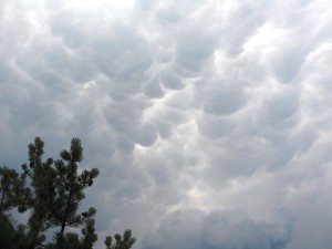Cumulonimbus mammatus